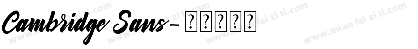 Cambridge Sans字体转换
